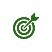 bullseye icon